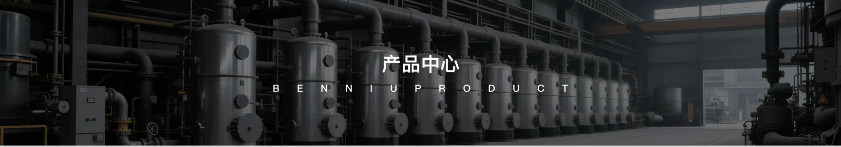 Full Width Long Image